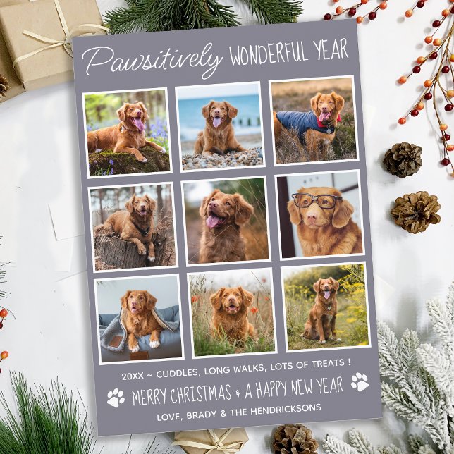 Cartes Pour Fêtes Annuelles Chien Pawsitivement Merveilleux mignon animal de c (Créateur téléchargé)