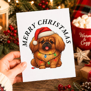 Cartes Pour Fêtes Annuelles Chien Pékinois Joyeux Noël Chapeau de Père Noël