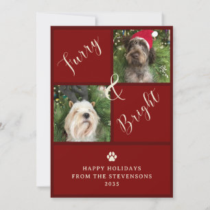 Cartes Pour Fêtes Annuelles Chien Photo Furry Et Rouge 2