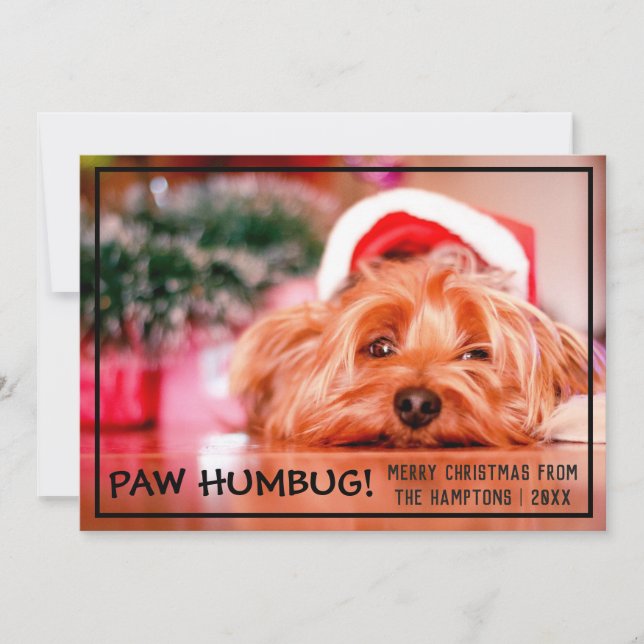 Cartes Pour Fêtes Annuelles Chien Photo Paw Humbug Animal Noël (Devant)