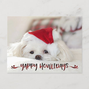 Cartes Pour Fêtes Annuelles Chien Photo Red Buffalo Check Script YAPPY HOWLIDA