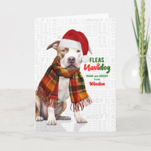 Cartes Pour Fêtes Annuelles Chien Pit Bull Mignon Drôle de Navidog avec Nom