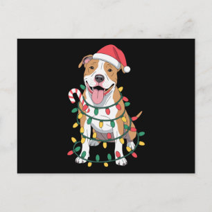 Cartes Pour Fêtes Annuelles Chien Pitbull Noël Chapeau de Père Noël Lumières C