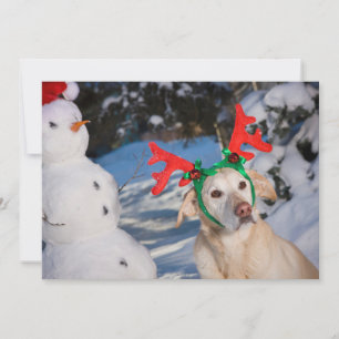 Cartes Pour Fêtes Annuelles Chien portant des Antlers de rennes