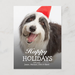 Cartes Pour Fêtes Annuelles Chien portant un chapeau de Père Noël
