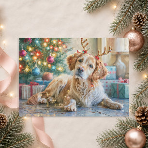 Cartes Pour Fêtes Annuelles Chien Retriever doré Renne Noël