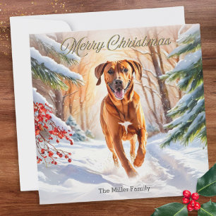 Cartes Pour Fêtes Annuelles Chien Rhodesian Ridgeback dans la neige Joyeux Noë