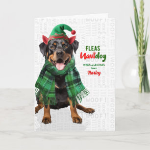 Cartes Pour Fêtes Annuelles Chien Rottweiler Drôle Puces Navidog avec nom