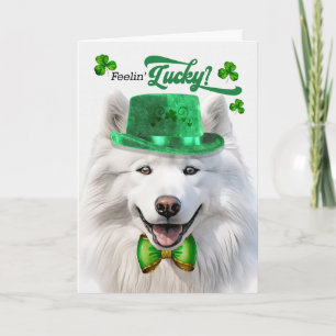 Cartes Pour Fêtes Annuelles Chien Samoyède se sentant chanceux à la Saint-Patr