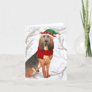 Cartes Pour Fêtes Annuelles Chien sanglant de Noël et pins botaniques
