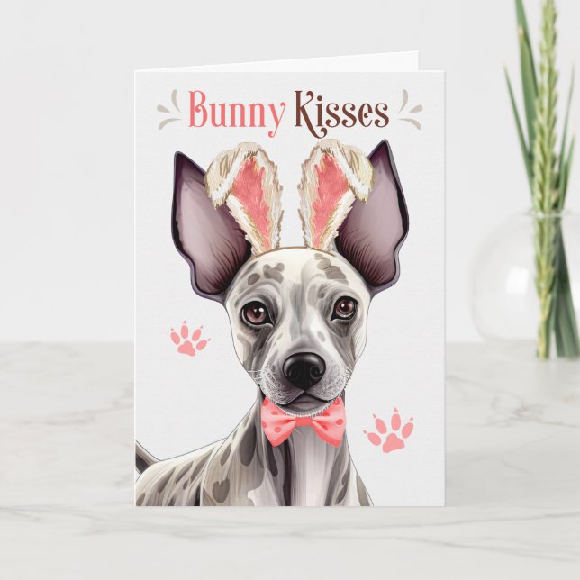 Cartes Pour Fêtes Annuelles Chien sans cheveux dans Bunny Ears pour Pâques (Devant)