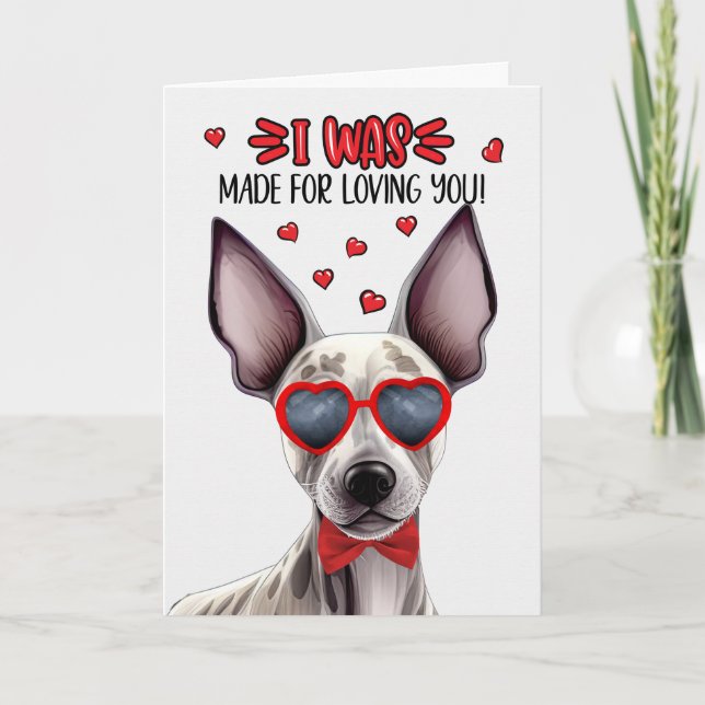 Cartes Pour Fêtes Annuelles Chien sans cheveux Terrier fait pour l'amour Valen (Devant)