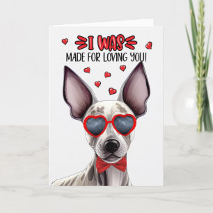 Cartes Pour Fêtes Annuelles Chien sans cheveux Terrier fait pour l'amour Valen
