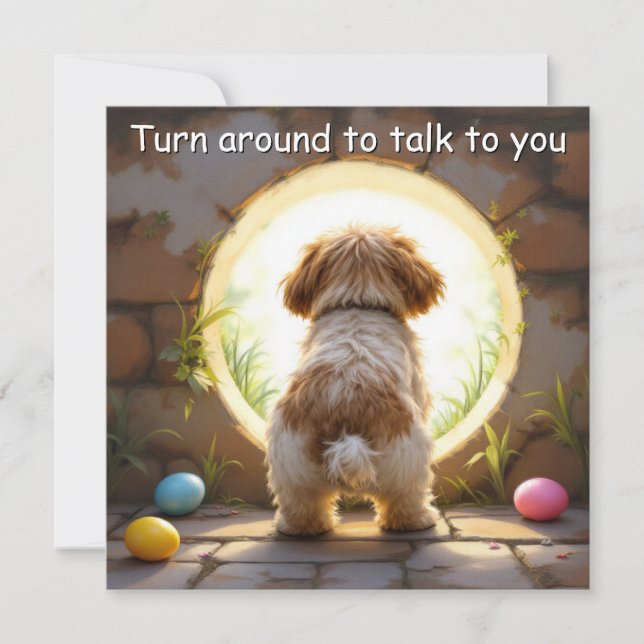 Cartes Pour Fêtes Annuelles Chien Shih Tzu - avec Nom de famille (Devant)