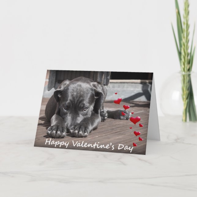 Cartes Pour Fêtes Annuelles Chien souhaitant un Heureuse Sainte-Valentin avec  (Devant)