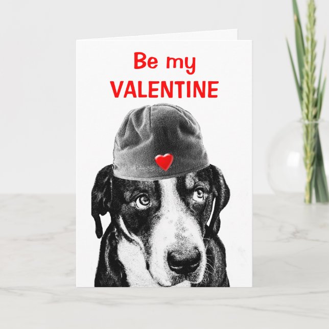 Cartes Pour Fêtes Annuelles Chien suisse de montagne (Devant)