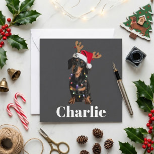 Cartes Pour Fêtes Annuelles Chien Teckel Chapeau de Père Noël Lumières de Noël
