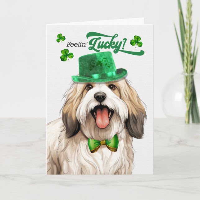Cartes Pour Fêtes Annuelles Chien Tibétain Terrier Feelin' Lucky St Patrick's  (Devant)