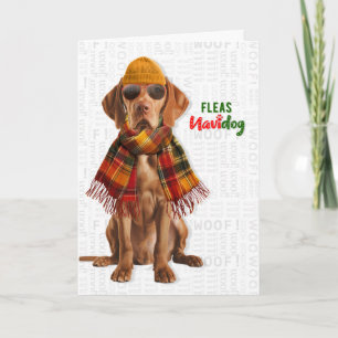 Cartes Pour Fêtes Annuelles Chien Vizsla élégant Drôles de puces Navidog Noël