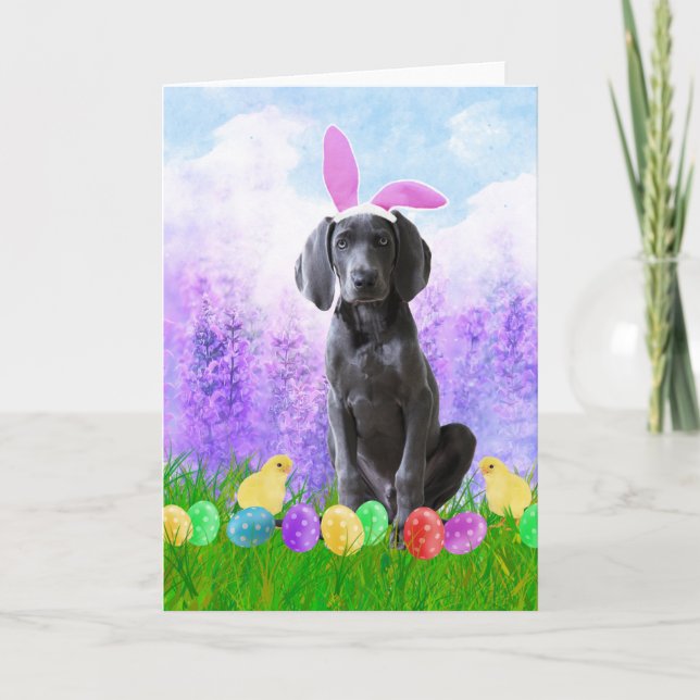 Cartes Pour Fêtes Annuelles Chien Weimaraner avec oeufs de Pâques Poussins lap (Devant)