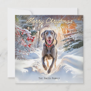 Cartes Pour Fêtes Annuelles Chien Weimaraner Dans La Neige Joyeux Noël