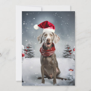 Cartes Pour Fêtes Annuelles Chien Weimaraner de Noël