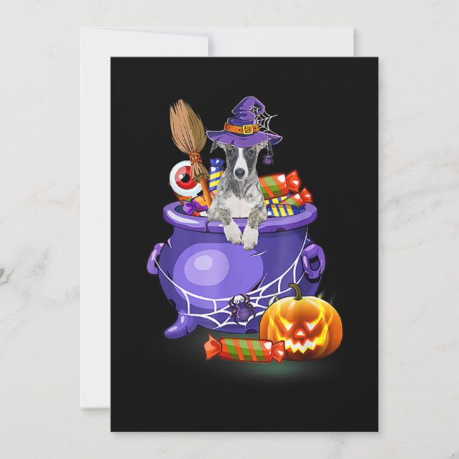 Cartes Pour Fêtes Annuelles Chien Whippet avec bonbon citrouille chapeau de so (Devant)