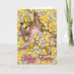 Cartes Pour Fêtes Annuelles Chienchien de Pâques