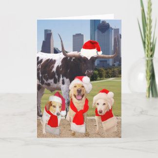 Cartes Pour Fêtes Annuelles Chiens amusants Joyeux Noël de Houston