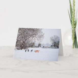 Cartes Pour Fêtes Annuelles chiens arbres enneigés paysage hivernal panoramiqu