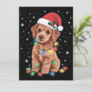 Cartes Pour Fêtes Annuelles Chiens Caniches Arbre Noël Xmas Animal Familier Ch