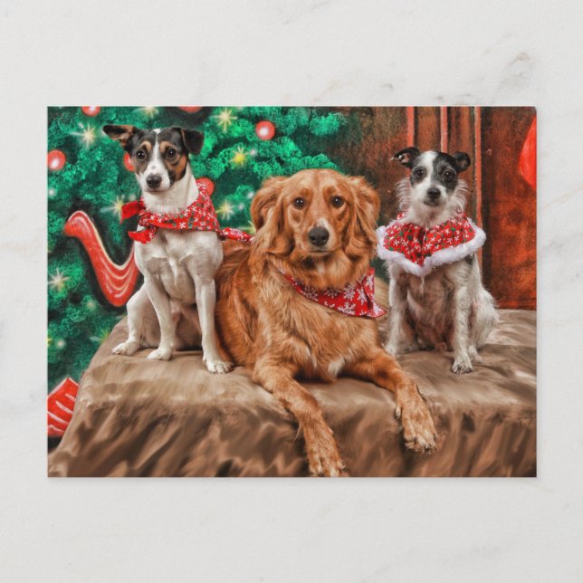 Cartes Pour Fêtes Annuelles Chiens célébrant Noël (Devant)