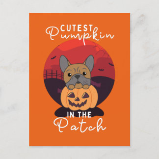 Cartes Pour Fêtes Annuelles Chiens Citrouilles Bulldog Citrouille Cutest Dans 