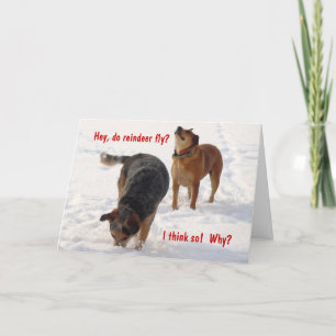 Cartes Pour Fêtes Annuelles Chiens de bétail ridicules et drôles neige de Noël