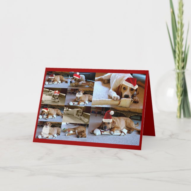 Cartes Pour Fêtes Annuelles chiens de Laura (Devant)