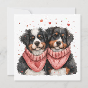 Cartes Pour Fêtes Annuelles Chiens de montagne bernois de la Saint-Valentin