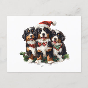 Cartes Pour Fêtes Annuelles Chiens de montagne bernois de Noël