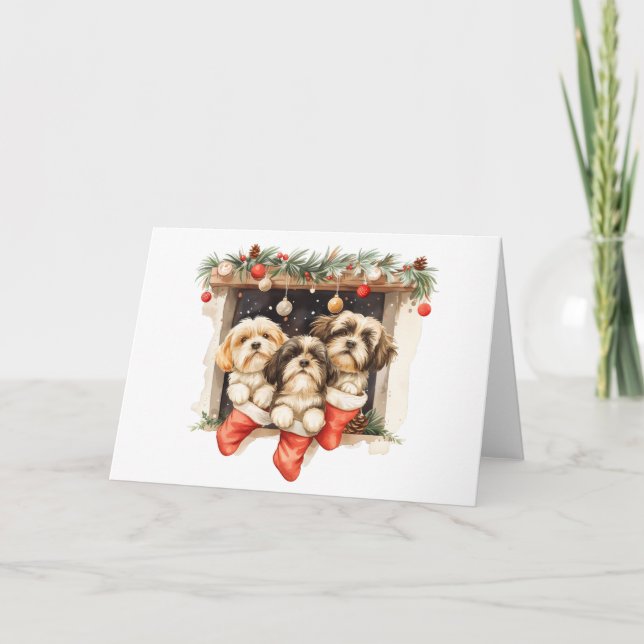 Cartes Pour Fêtes Annuelles Chiens de Noël Chih Tzu (Devant)