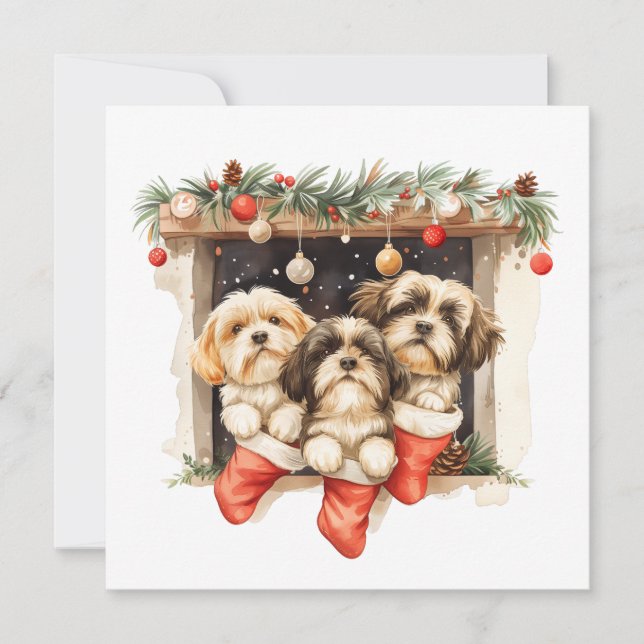 Cartes Pour Fêtes Annuelles Chiens de Noël Chih Tzu (Devant)