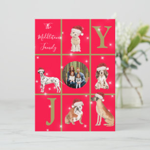 Cartes Pour Fêtes Annuelles Chiens de Noël Fun Photo Red Holiday Card