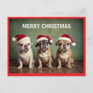 Cartes Pour Fêtes Annuelles Chiens de Noël joyeux