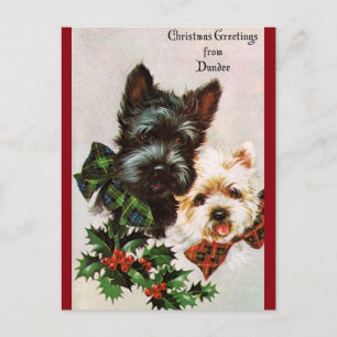 Cartes Pour Fêtes Annuelles Chiens de Noël Vintage