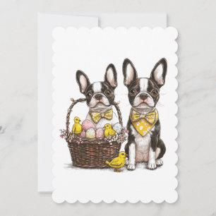 Cartes Pour Fêtes Annuelles Chiens de Pâques Boston Terrier
