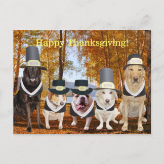 Cartes Pour Fêtes Annuelles Chiens de pèlerin amusants personnalisables Thanks