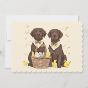 Cartes Pour Fêtes Annuelles Chiens de récupération du labrador de pâques