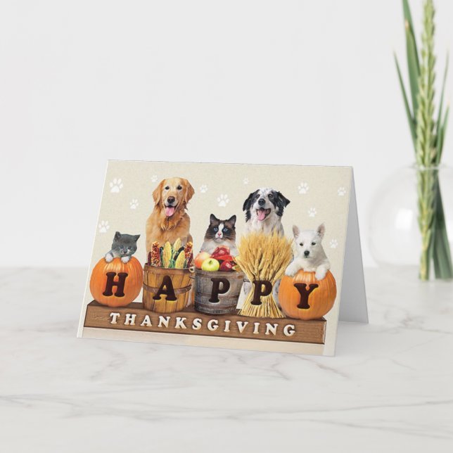 Cartes Pour Fêtes Annuelles Chiens de Thanksgiving Day (Devant)