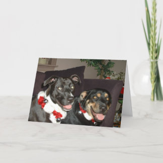 Cartes Pour Fêtes Annuelles Chiens de tintement