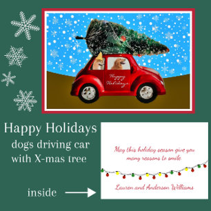 Cartes Pour Fêtes Annuelles Chiens de vacances mignons en voiture avec un arbr
