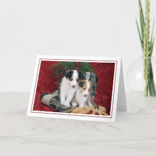Cartes Pour Fêtes Annuelles Chiens de vacances Shetland Sheepdog Puppies