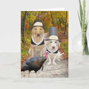 Cartes Pour Fêtes Annuelles Chiens drôles/thanksgiving de laboratoires